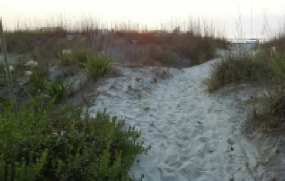 Spacious king size bed beach side and sunny