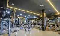 Treebo Risha Hotels in Chandrapur