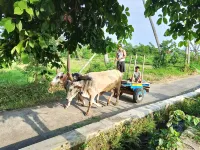 Villa Bale Tentrem Pamungkas