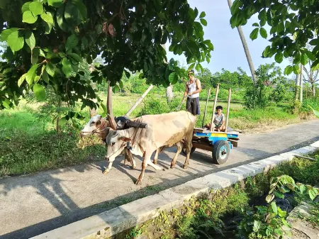 Villa Bale Tentrem Pamungkas Отели рядом с достопримечательностью «Islamic University of Indonesia»