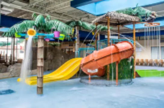 Quality Inn & Suites Palm Island Indoor Waterpark Hotels in Batavia