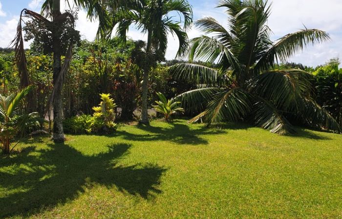 Vaniva's Villa nestled in a tropical garden oasis.