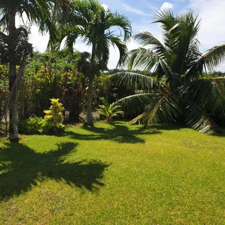 Vaniva's Villa nestled in a tropical garden oasis.