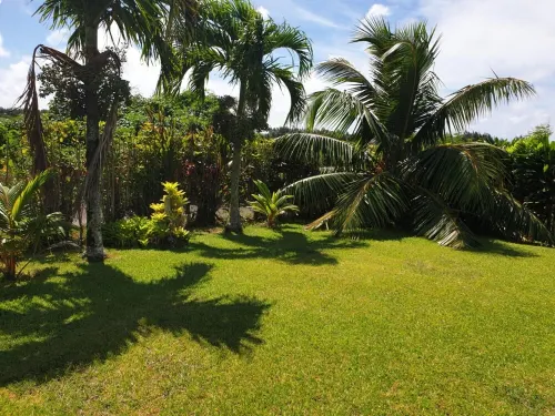 Vaniva's Villa nestled in a tropical garden oasis. - Wifi