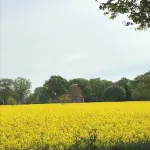 Apartment Strandgut in Gut Strackholt