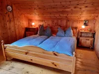 Alpine Hut in Murau Near Ski Slope