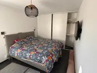 APPART T3 VUE MER DOMAINE DU FRASSO