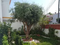 Borea Yellow Villa, Santo André, Santiago do Cacém