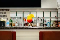 Hilton Garden Inn Mobile West I-65/Airport Blvd. - bar