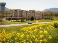 Hampton Inn & Suites Woodstock Hotels in Shenandoah County
