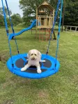 Lord Derby, Cottage with pool & hot tub, tranquil setting,20min from Southwold