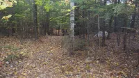 Breathtaking Mountain Views across Lake Winnipesaukee- Boat Access Only