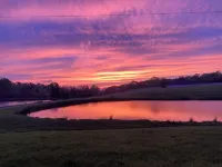 Charming Lakefront Cottage in Kernersville - Relax with nature!