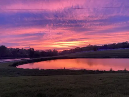 Charming Lakefront Cottage in Kernersville - Relax with nature!