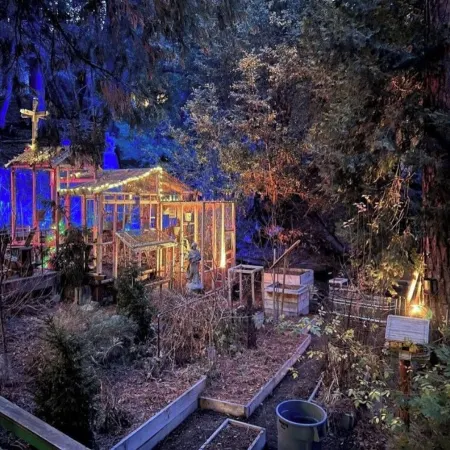 Secluded mystical cabin in Idyllwild-Pine Cove