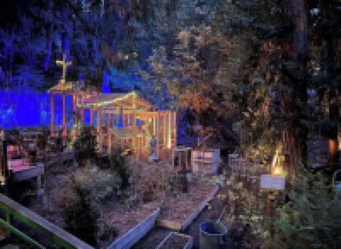 Secluded mystical cabin in Idyllwild-Pine Cove