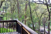 Yosemite Bug Rustic Mountain Resort - Mountain view