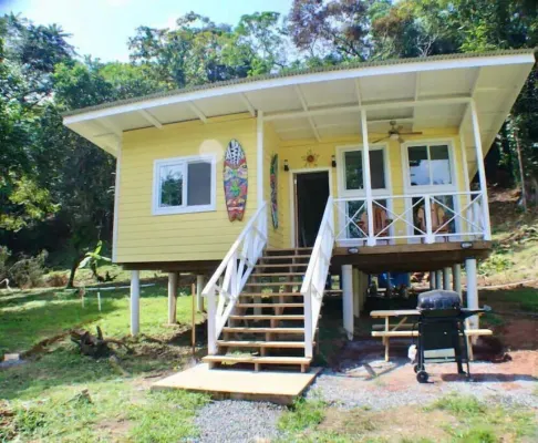 The Birds Nest, birds, close to area surfing,