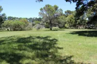 Wild Paradise Cottage 1 Get away from busy life at this unforgettable escape. Hotel in zona Seaview Lion Park