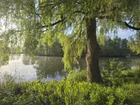 Unique "Seeblick" vacation apartment located directly on the lake Hotels in Metelen