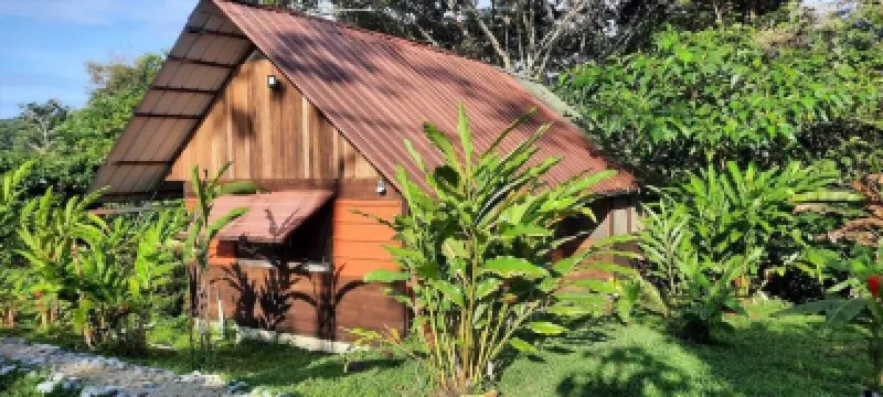 Excellent accommodation in wooden cabins equipped with with all services Hôtels à : 