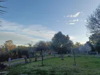 Moonambel rustic farm stay Hotels in Avoca