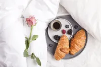 Delightful corporate apartment with WiFi in Exmouth