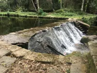 Your Cantinho na Serra