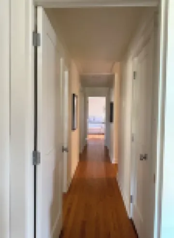 Walking Distance to Campus 3/2, newly renovated and professionally decorated!