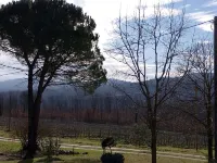 MATRIMONIAL ROOM with private bathroom, Hotels in Radicondoli