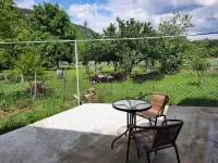 Venerika's Hut Venerica Hut Hotels in Gori