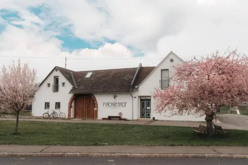 Four-manor house with 5 apartments