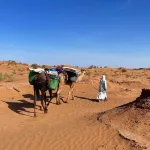 Sahara Wild Camping - Wifi
