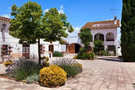 Country house in cellar between Penedès vineyards Отели в г. Alt Penedes
