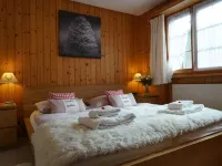 Halten Hotels near Alp Rinderberg