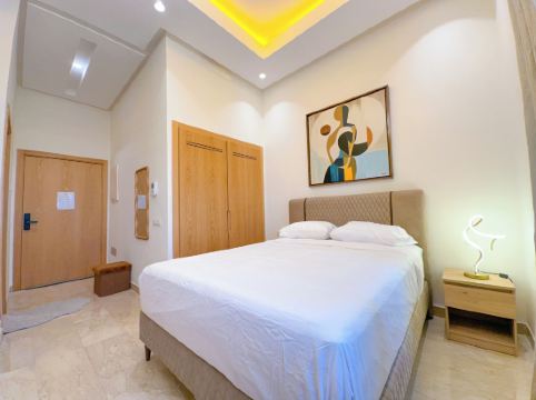 Luxury studio & Centric flat