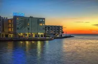 Tiki Themed Condo on Tampa Bay - pantai