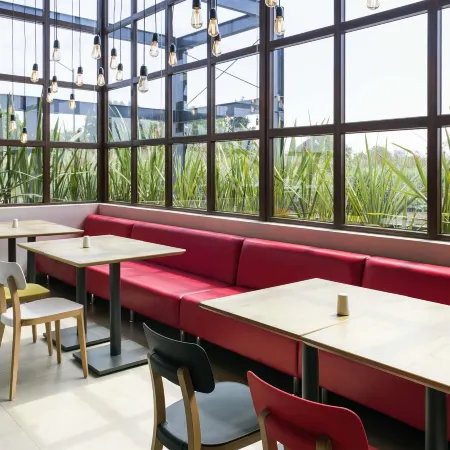 Ibis Irapuato