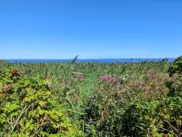 Vintage Holiday Home Near Ulfborg with Conservatory