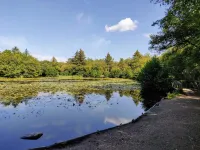 6 person holiday home in Bindslev-By Traum