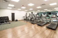 Holiday Inn Express & Suites AUBURN by IHG - Gym