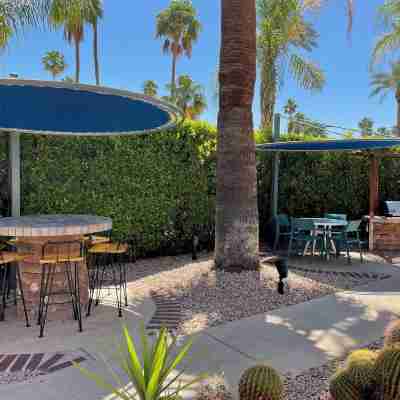 Desert Paradise Resort - Gay Men's Resort Hotel Exterior