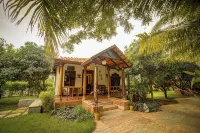 Brown Town Resort, Spa & Convention - プール