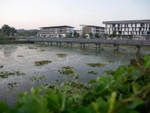 ココン シック レジデンス ドゥ シャルム カイエンヌのホテル