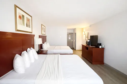 Seffner Inn and Suites - Wifi