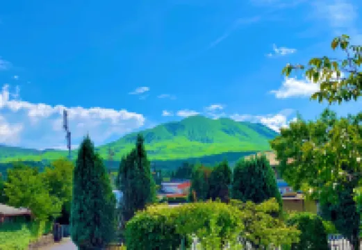 TARAILER SHIP GARDEN