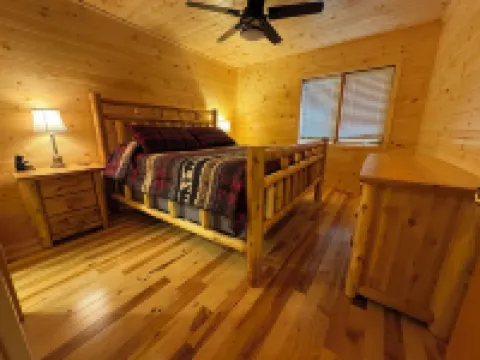 “Hollywood Nights”