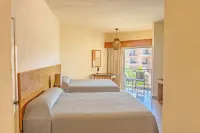 Friendly Fun Vallarta Different Experiences - Ramah Hewan Peliharaan