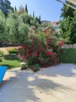 Okeanos Vine Luxury Villa - Infinity Pools
