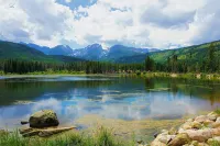 Cozy Carriage House, Walk to Unc, Free Bikes